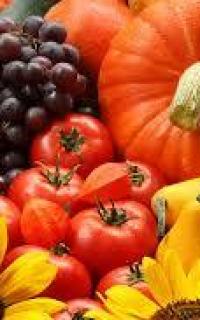 Images 1