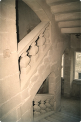 Shapeimage 11